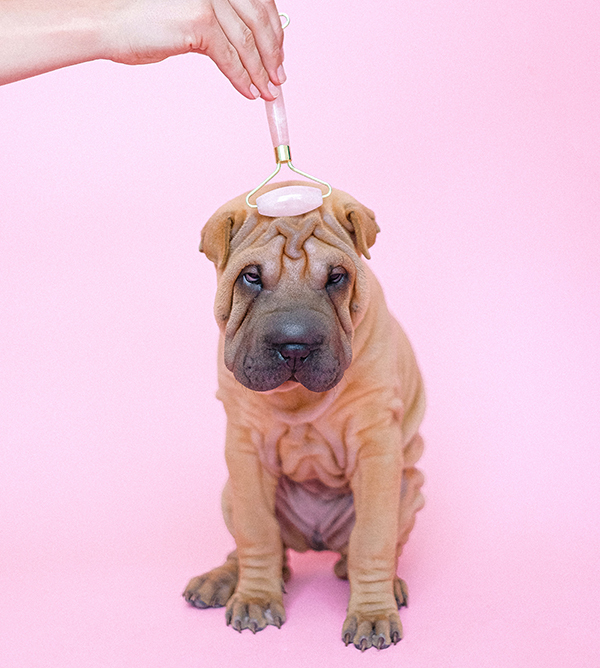 Wrinkle NL