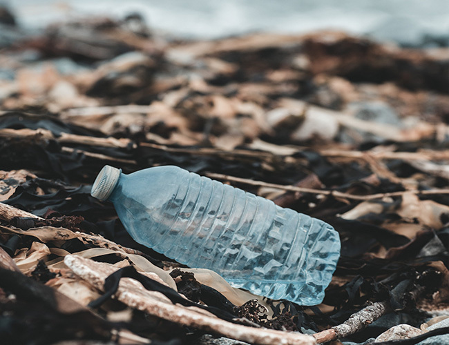 Plastic Bottle weba Website horizontal 1