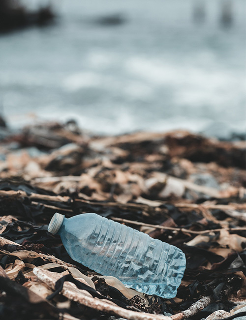 Plastic Bottle weba Website